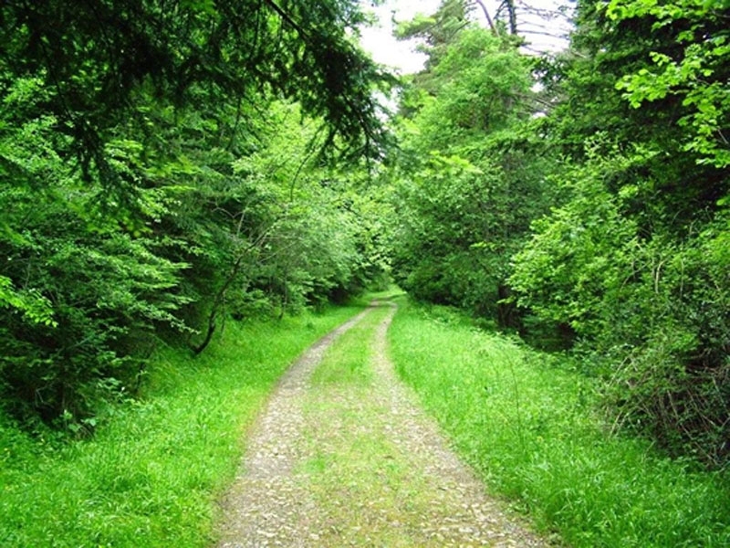 paisaje_01