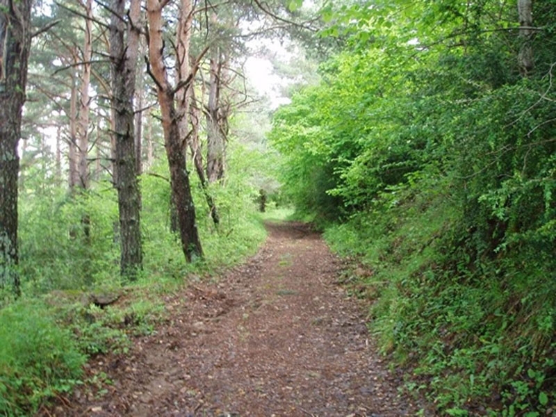paisaje_05