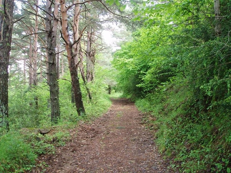 paisaje_06