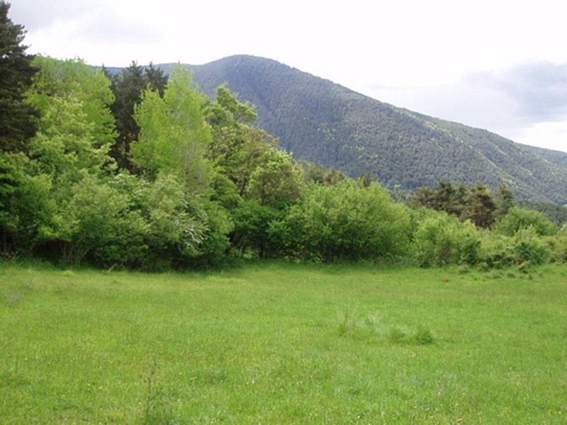 paisaje_07