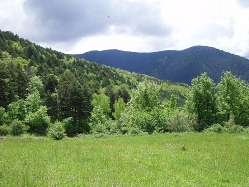 paisaje_08