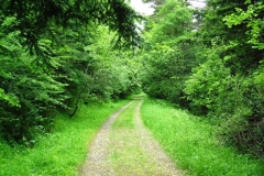 paisaje_01