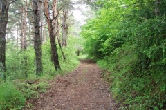 paisaje_05