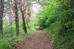 paisaje_06