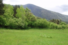 paisaje_07