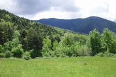 paisaje_08